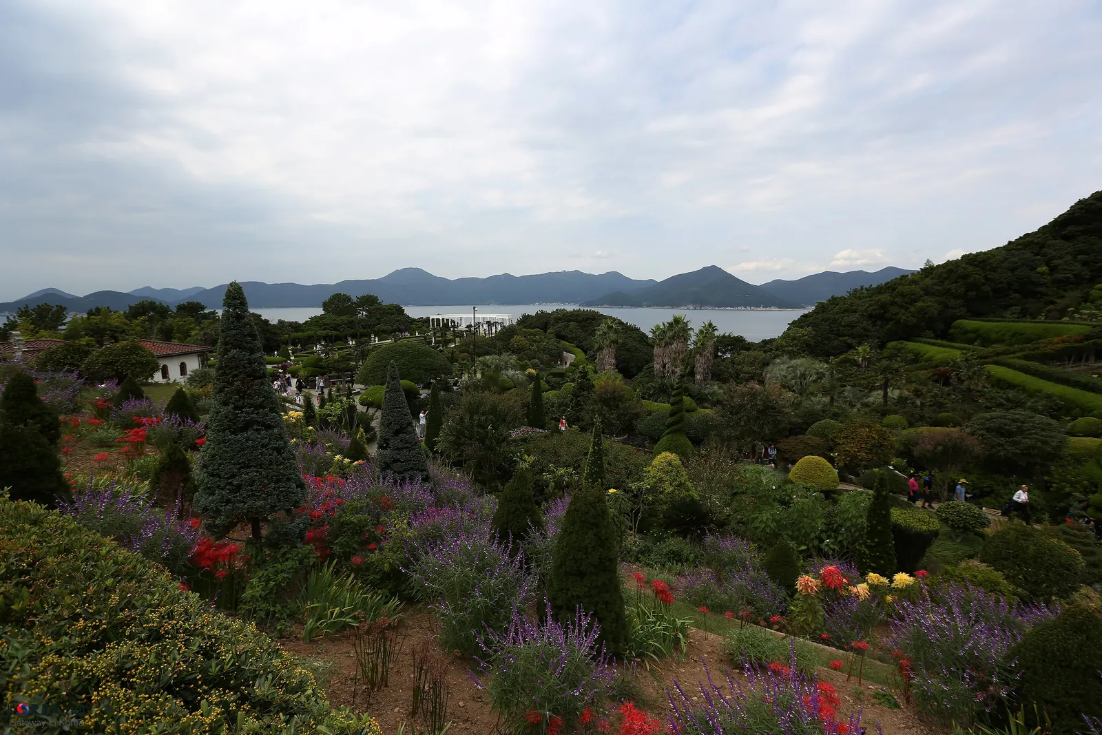 Flower beds and clipped trees above the sea at Oedo Botania, reached by boat from Geoje