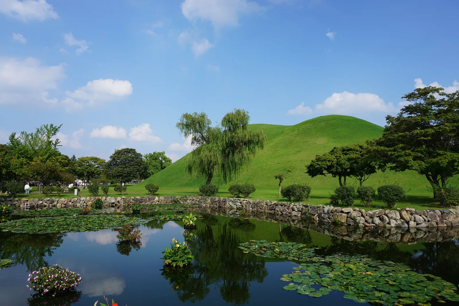 Grass-covered royal tumuli above a lily pond in the Daereungwon area, Gyeongju