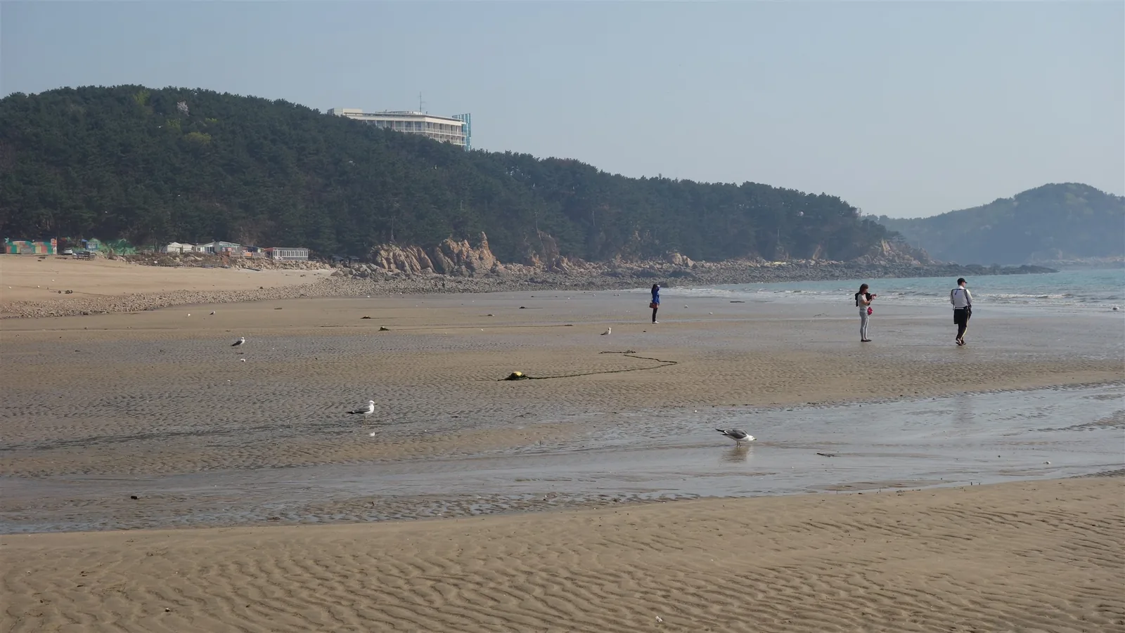 Wangsan Beach at low tide on Yeongjongdo, Incheon