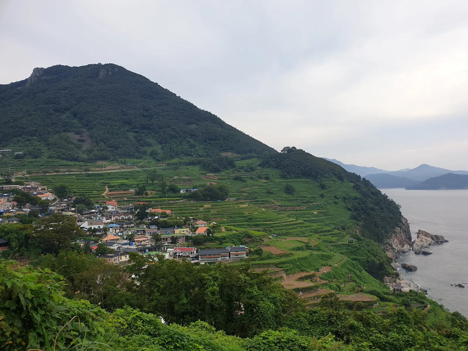 Terraced rice fields of Daraengi Village dropping to the sea, Namhae