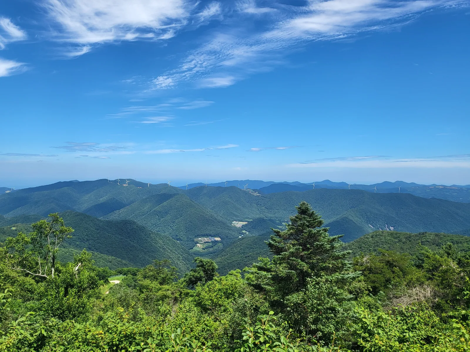 Forested ridges seen from the top of Balwangsan, Pyeongchang